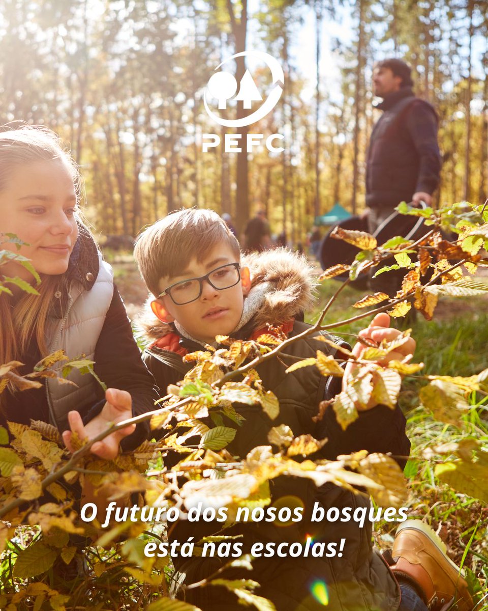 GaliciaPefc's tweet image. 👧🌱 A #educaciónambiental é clave para formar xeracións comprometidas cos nosos montes. Desde #PEFCGalicia apoiamos actividades en centros educativos para sementar conciencia sostible desde pequenos.🔎 Aquí algúns materiais que poden ser útiles: pefc.es/que-hacemos/ed…