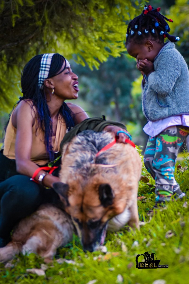 To lead a dog is not to reign,
But walk beside through joy and strain.
With guidance firm and heart sincere,
The path to loyalty is clear.
❃❃ 𝑰.𝑶.𝑵 ❃❃ 𓃥 Do you need dog-training and grooming services (in Nakuru City??)➢ ➣  tinyurl.com/Training-Groom… 𓃥𓃥