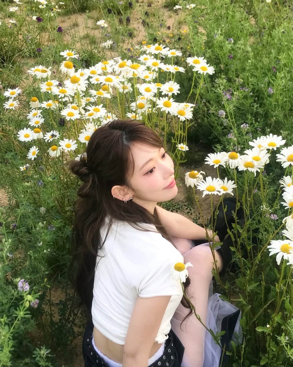 봄아직안갔었네