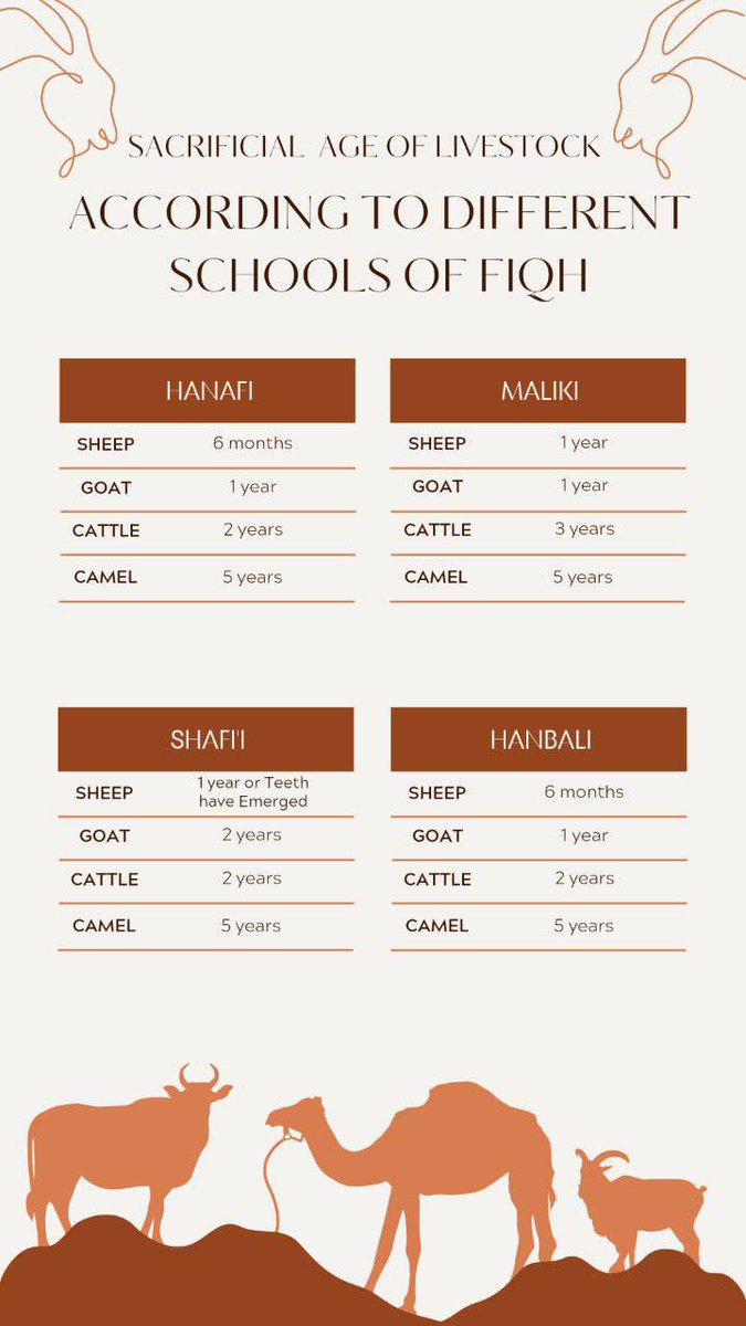 Nesmu Dawah (@nesmudawah) on Twitter photo 