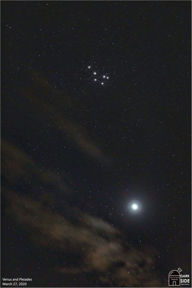 Venus and Pleiades ✨