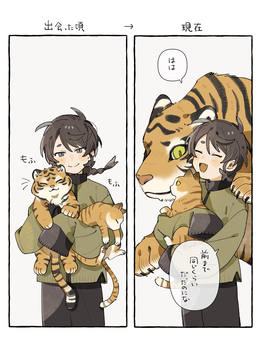 猫と大きな猫🐱🐯 