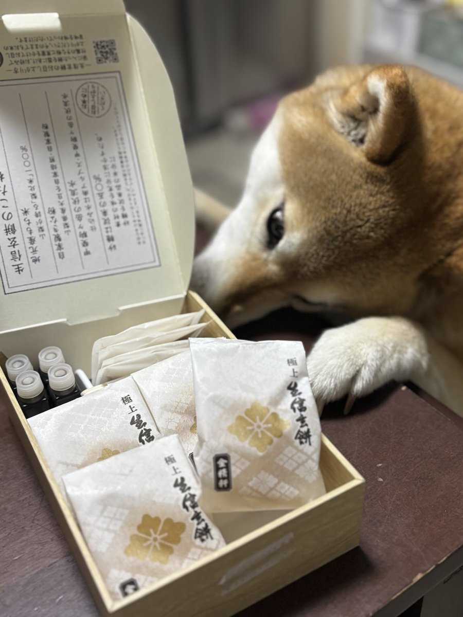 ryou0407's tweet photo. 美味しい信玄餅もらったー。 https://t.co/DrabwyEe8m