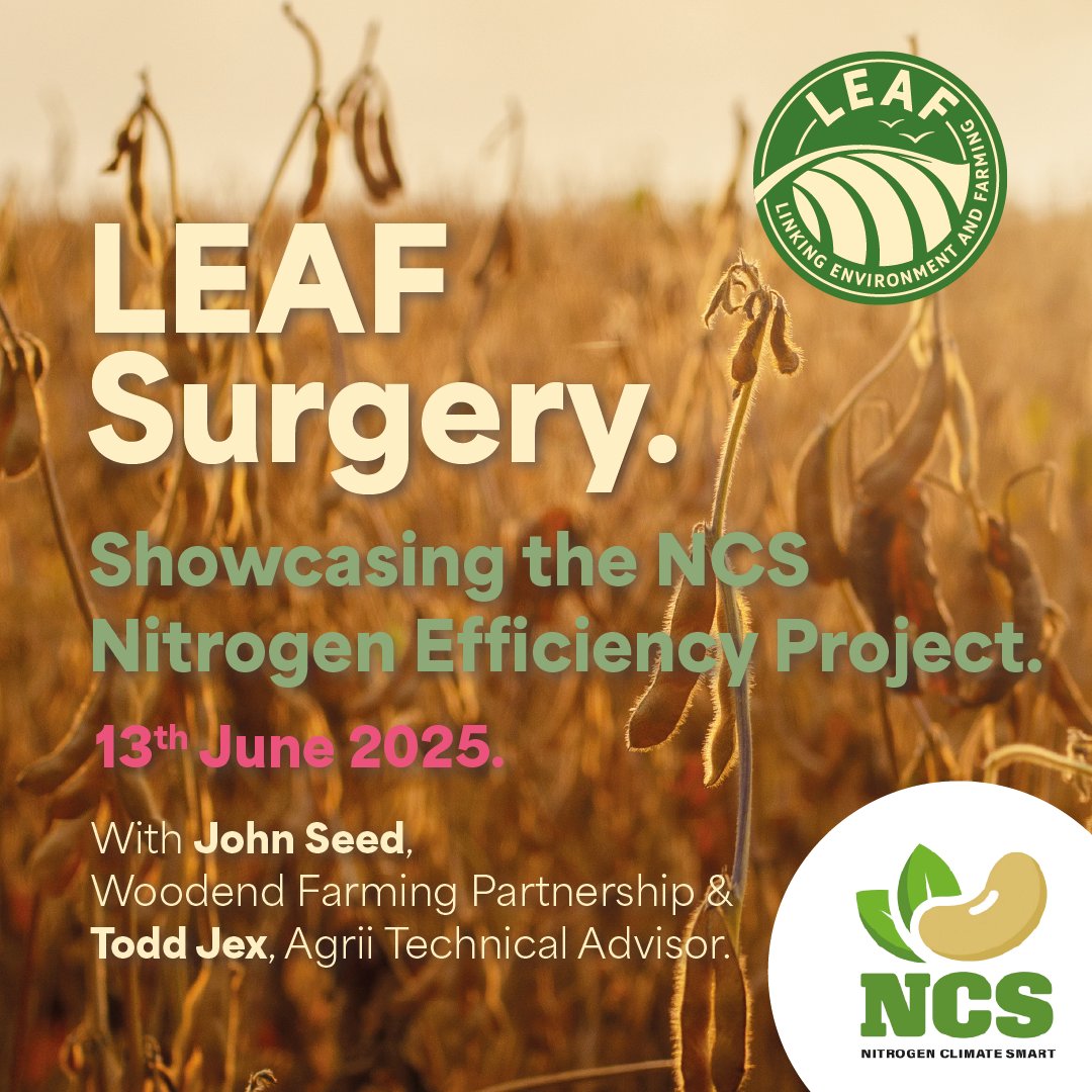 LEAF (@leaf_farming) on Twitter photo 🌿 Don’t miss our next LEAF Surgery on Friday 13 June at 10am!
We're diving into pulses, legumes & climate-smart cropping with special guests John Seed and Todd Jex from the <a href="/Pulse_PEP/">The NCS Project</a> project.
🔗Register now!! us06web.zoom.us/meeting/regist… 🌿 Don’t miss our next LEAF Surgery on Friday 13 June at 10am!
We're diving into pulses, legumes & climate-smart cropping with special guests John Seed and Todd Jex from the <a href="/Pulse_PEP/">The NCS Project</a> project.
🔗Register now!! us06web.zoom.us/meeting/regist…