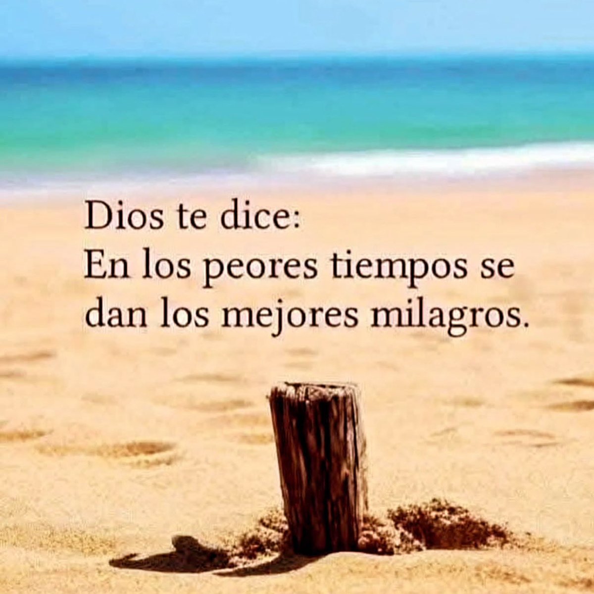 Raymond pozo (@raymondpozo1) on Twitter photo 