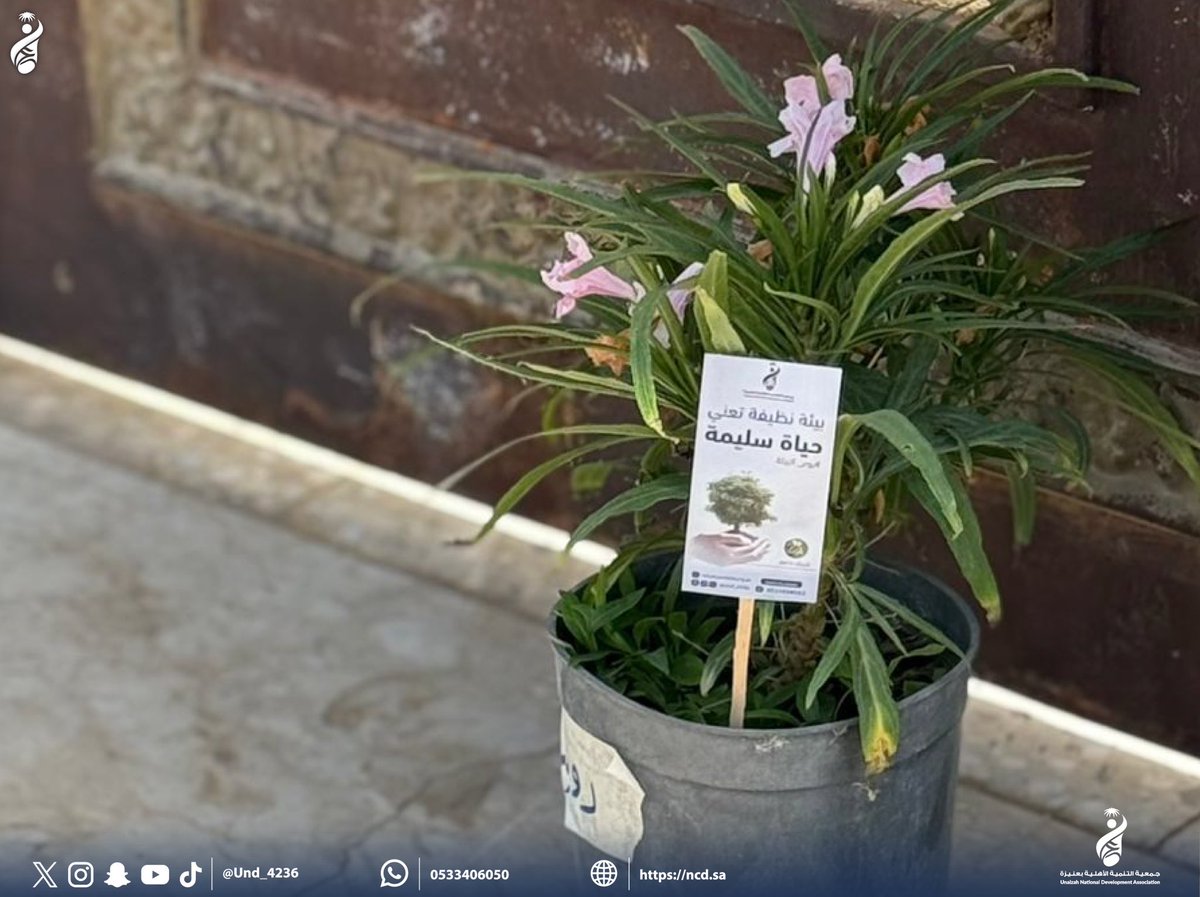 Und_4236's tweet photo. #مبادرة_صديق_البيئة | 🌳

ضمن مبادرة صديق البيئة لأهالي الحيّ تحت شعار "بيئة نظيفة يعني حياة سليمة" قام القسم النسائي بتوزيع شتلات أشجار على المنازل، في خطوة جميلة لنشر الوعي البيئي وتعزيز الغطاء الأخضر في الحي 🌿✨

شكرًا لكل من ساهم في غرس الأمل 🌱 https://t.co/YvlKP7Tk1W