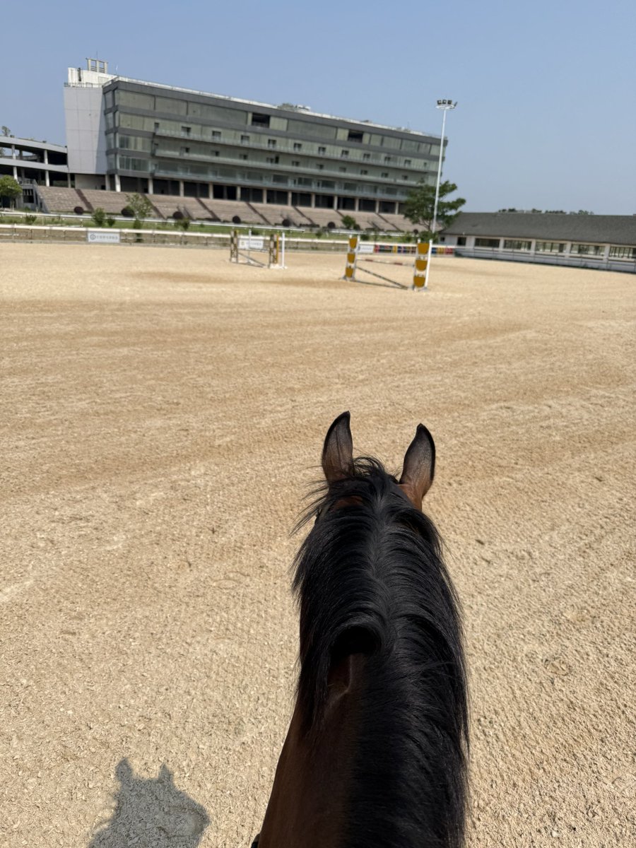 ŸÜÃÑ先生 (@yuny246158) on Twitter photo 