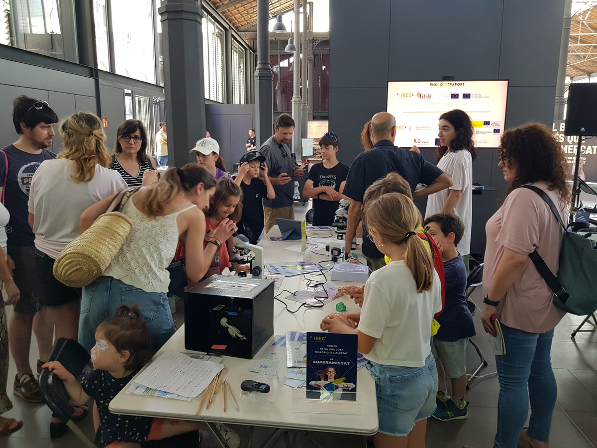 PHOTOTHERAPORT's tweet image. 🧠 💡 @PHOTOTHERAPORT researchers from @IBECBarcelona and @iibbcsic were at #FestaDeLaCiència! About 200 assistants explored how light-emitting implants & photo-controlled drugs can precisely transform pain & epilepsy treatment. How cool is that?
#ScienceFestival #Neuroscience