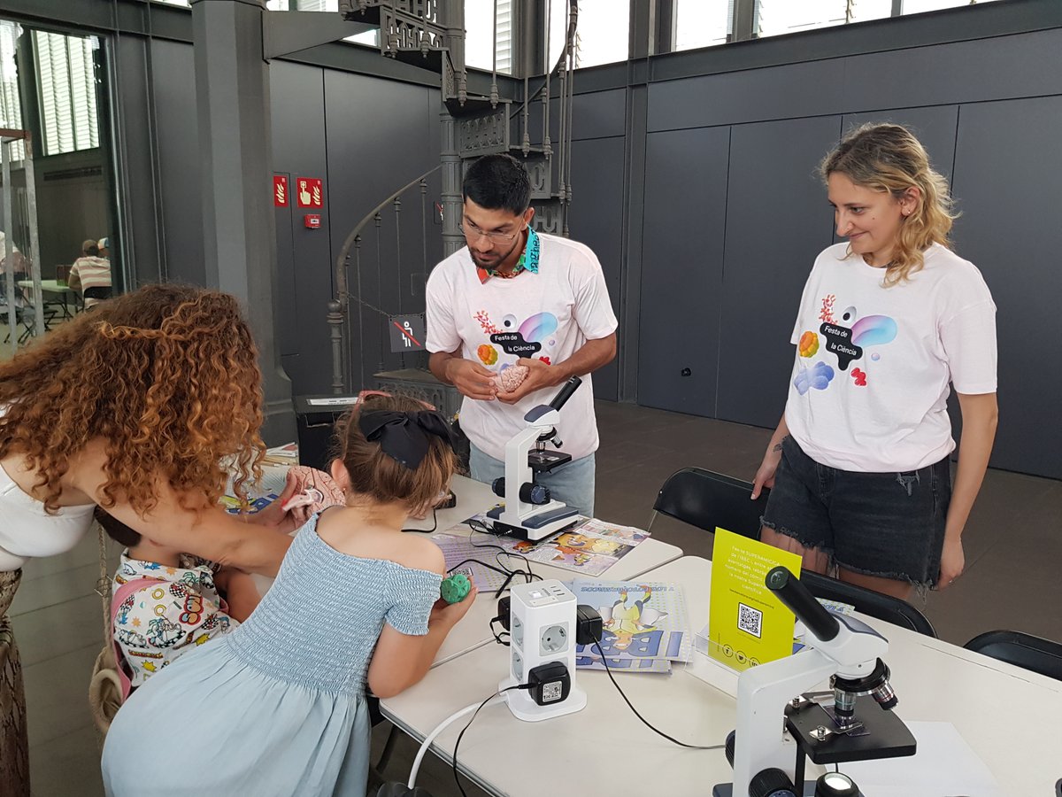 PHOTOTHERAPORT's tweet image. 🧠 💡 @PHOTOTHERAPORT researchers from @IBECBarcelona and @iibbcsic were at #FestaDeLaCiència! About 200 assistants explored how light-emitting implants & photo-controlled drugs can precisely transform pain & epilepsy treatment. How cool is that?
#ScienceFestival #Neuroscience