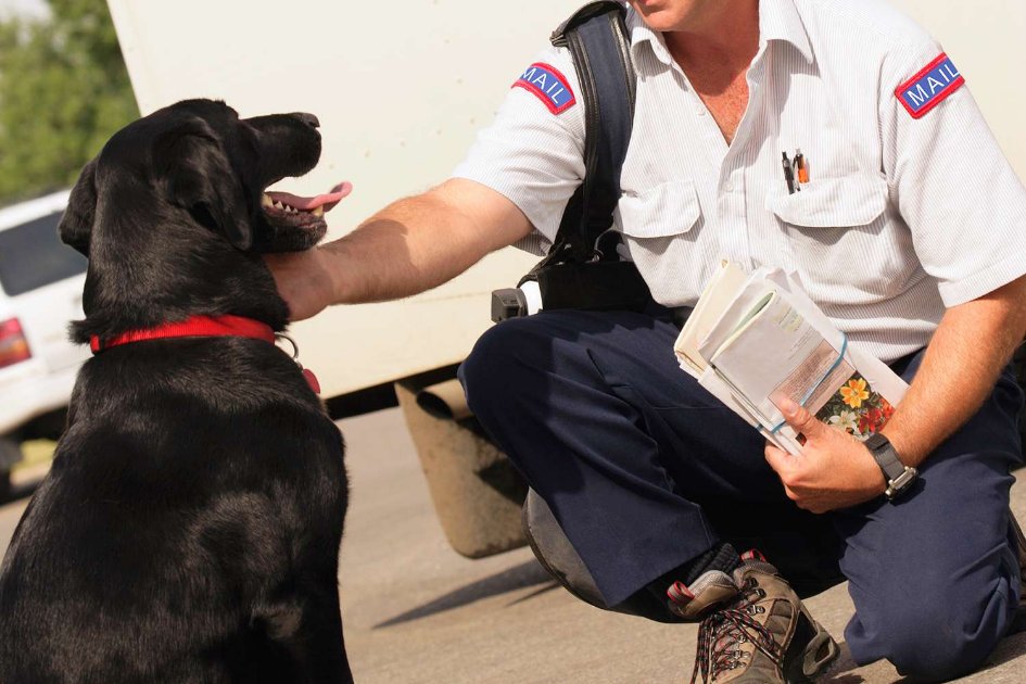 USPS reports over 6,000 dog attacks on postal workers in 2024, up from last year. Remember to keep your pets secure when mail is being delivered!  people.com/dog-attacks-on…