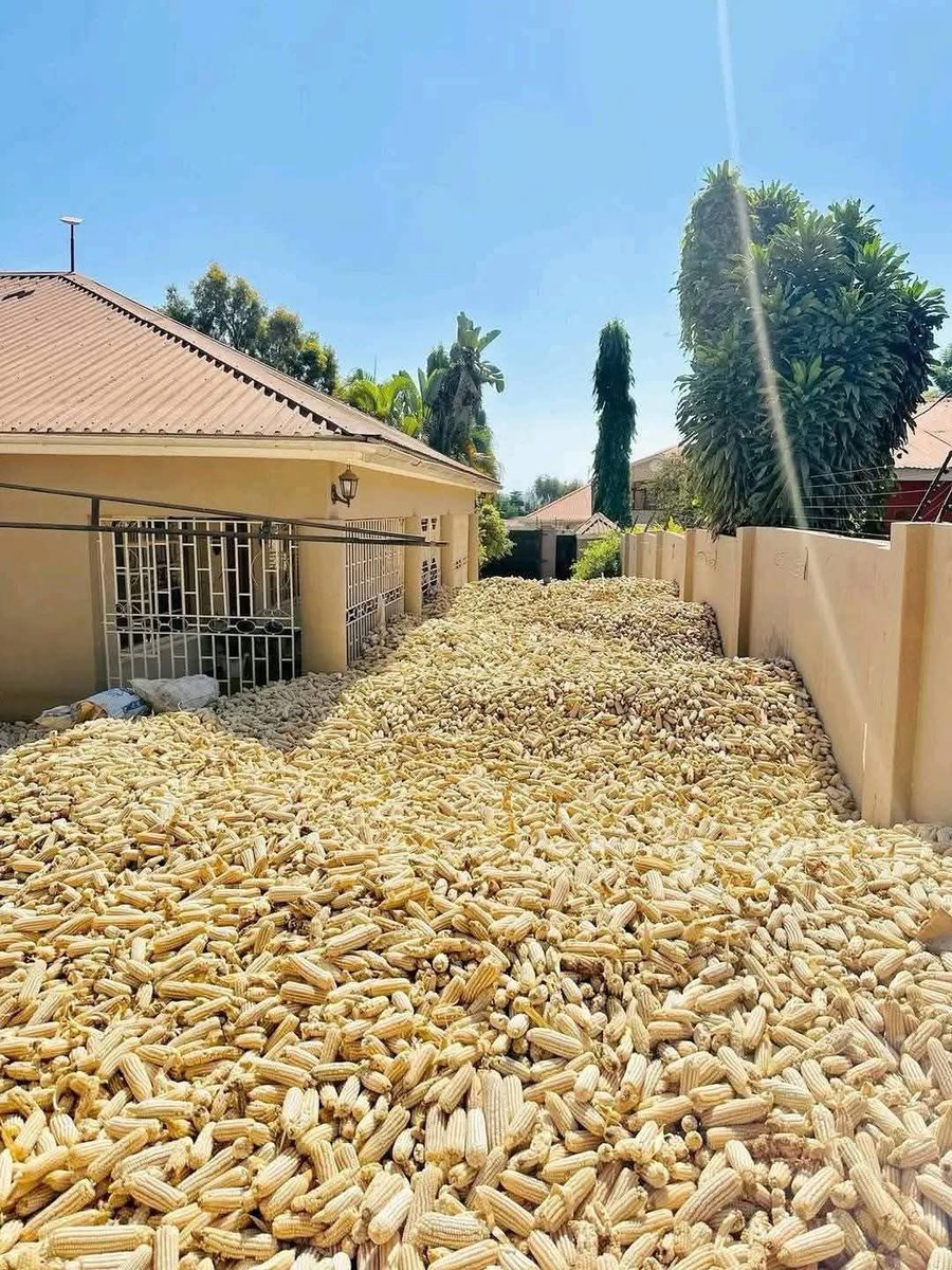 Wanyakyusa Tunaita Nyengo Kwenu Mnaitaje???😎
