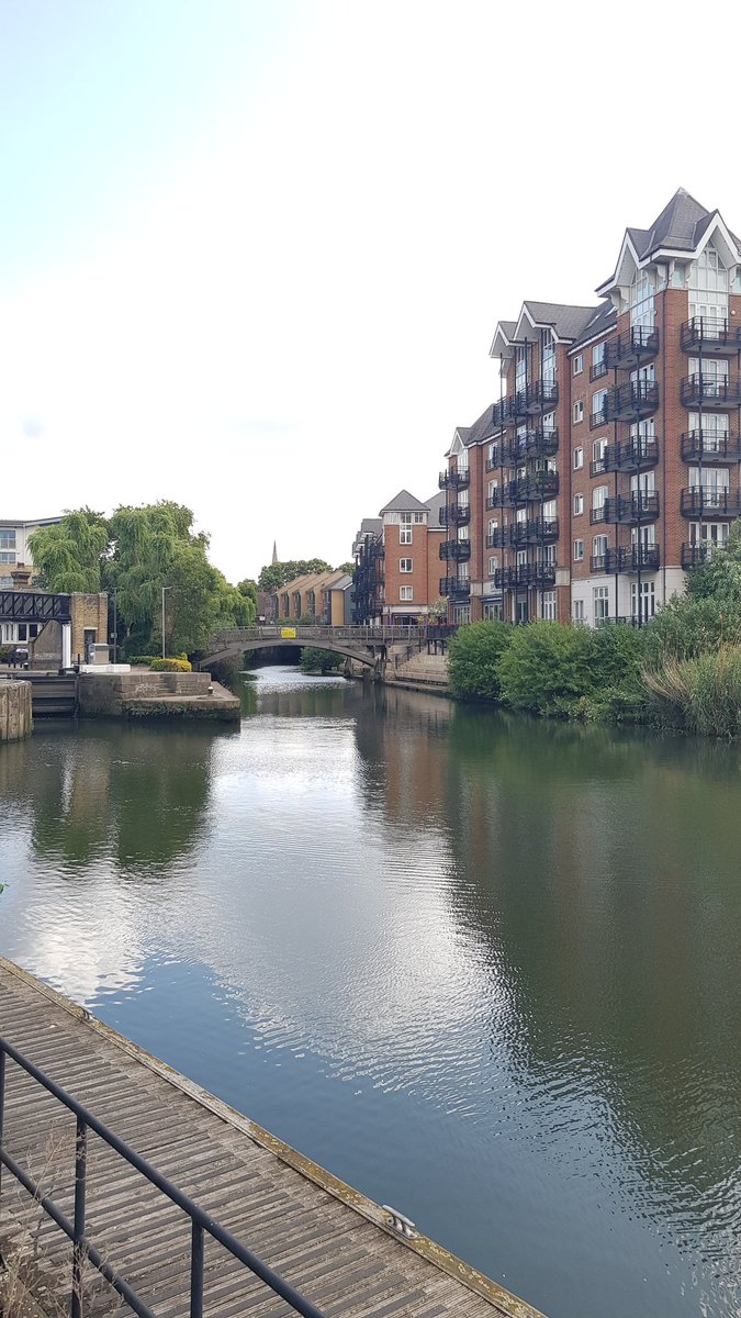 Elena de Astorza tweet media