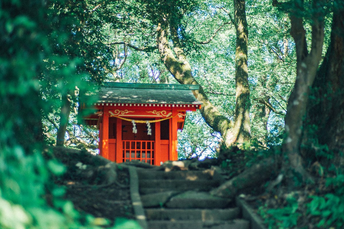 smith_oldlens's tweet photo. 夏の情景。 https://t.co/GQfSIH5IlN