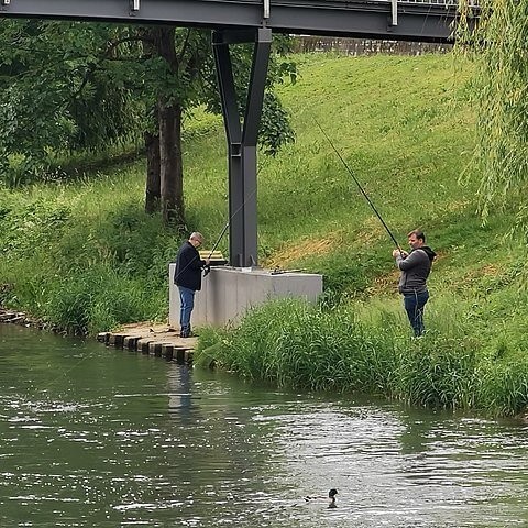 TheNatureFund's tweet image. English and Welsh rivers in a phosphate ‘crisis’ #rivers #RiverPollution #sewage #phosphate

naturalworldfund.com/english-and-we…