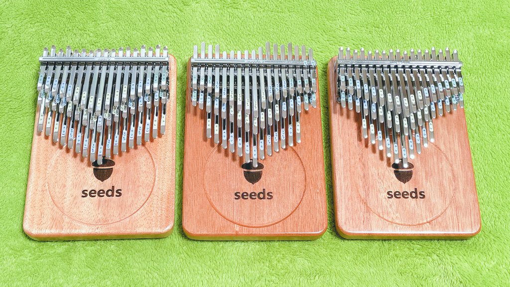 Alsophila Kalimba (@AlsophilaK) / Posts / X