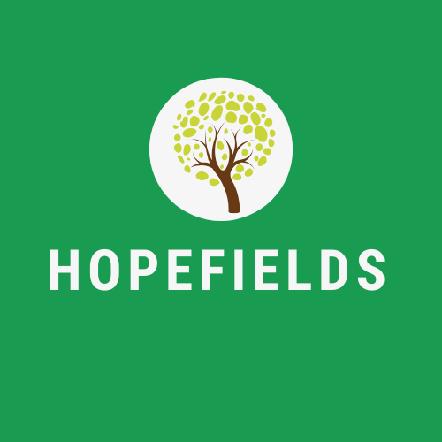 primarytimestv's tweet image. Hopefields School in Teesside is making a real difference with The Montana Project, helping young people build resilience and reconnect with learning 💛

Read more: primarytimes.co.uk/teesside/news/…

#MontanaProject #HopefieldsSchool #Teesside  #MentalHealthInSchools @HopefieldsEd