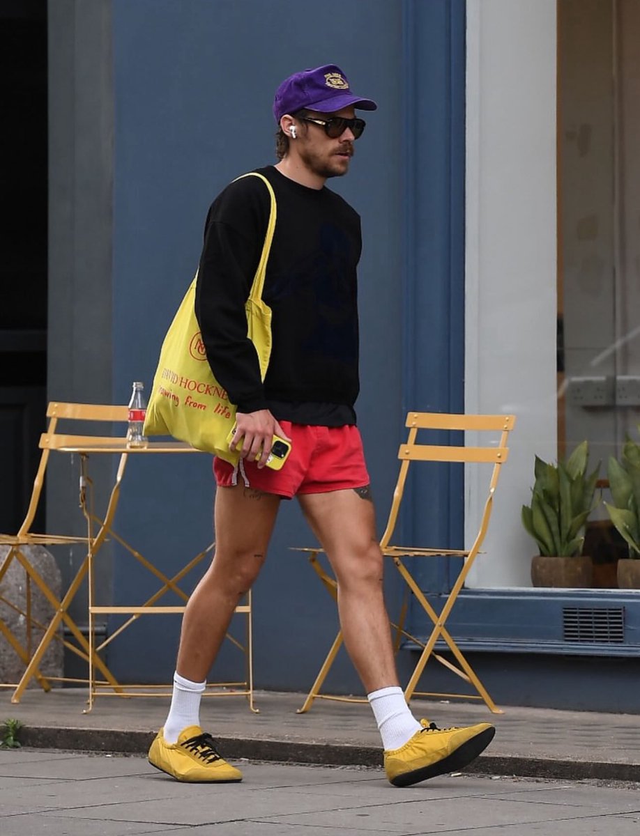 loverchiefs87's tweet image. mickey mouse                         harry styles