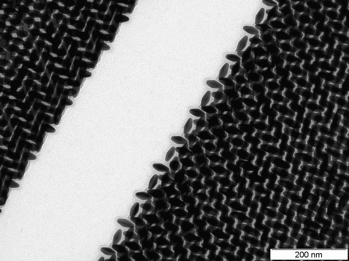 Florian Schulz tweet media