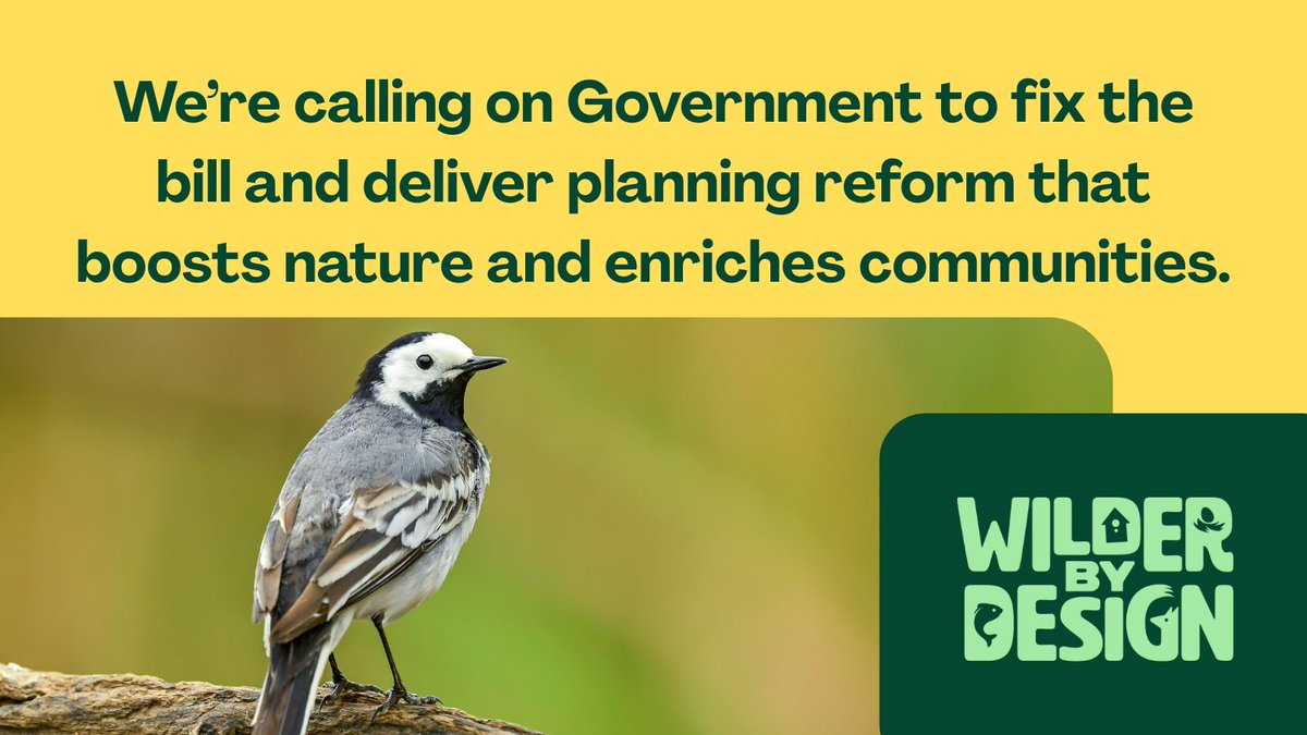 Wildlife and Countryside Link (@wcl_news) on Twitter photo Nature is in trouble in <a href="/AngelaRayner/">Angela Rayner</a>’s constituency, with records of some birds down by nearly 75% in recent years & local protected nature sites in poor condition🥀
MPs must fix the Planning Bill to stop this getting even worse 👇
wcl.org.uk/mps-put-on-not…
#WilderByDesign Nature is in trouble in <a href="/AngelaRayner/">Angela Rayner</a>’s constituency, with records of some birds down by nearly 75% in recent years & local protected nature sites in poor condition🥀
MPs must fix the Planning Bill to stop this getting even worse 👇
wcl.org.uk/mps-put-on-not…
#WilderByDesign