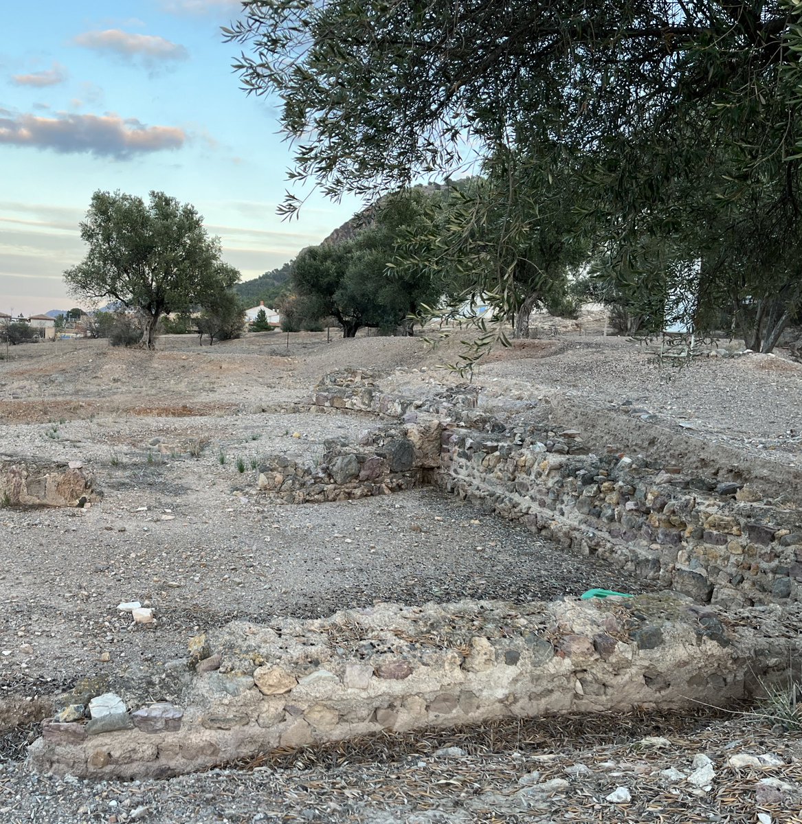 🍋Restos Basílica Paleocristiana
🥦S. IV
🍅Algezares

Hay teorías que ubican esta basílica en la ciudad de Elo o Ello, antecesora de la ciudad de Murcia, a donde sus ciudadanos se trasladaron en el S. IX por orden de Abderramán II en el año 825, fundando así la ciudad de #Murcia