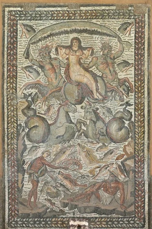 Trimuph of Venus, Goddess of Love and Beauty - from the ancient city of Mascula, Algeria, 4th c. AD
Venus is supported by two marine centaurs. Below are a hippocamp, a marine bull, and a fishing scene; on display at the Archaeological Museum of Constantine, Algeria

#MosaicMonday