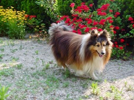 あきょん|*・ω・) tweet media