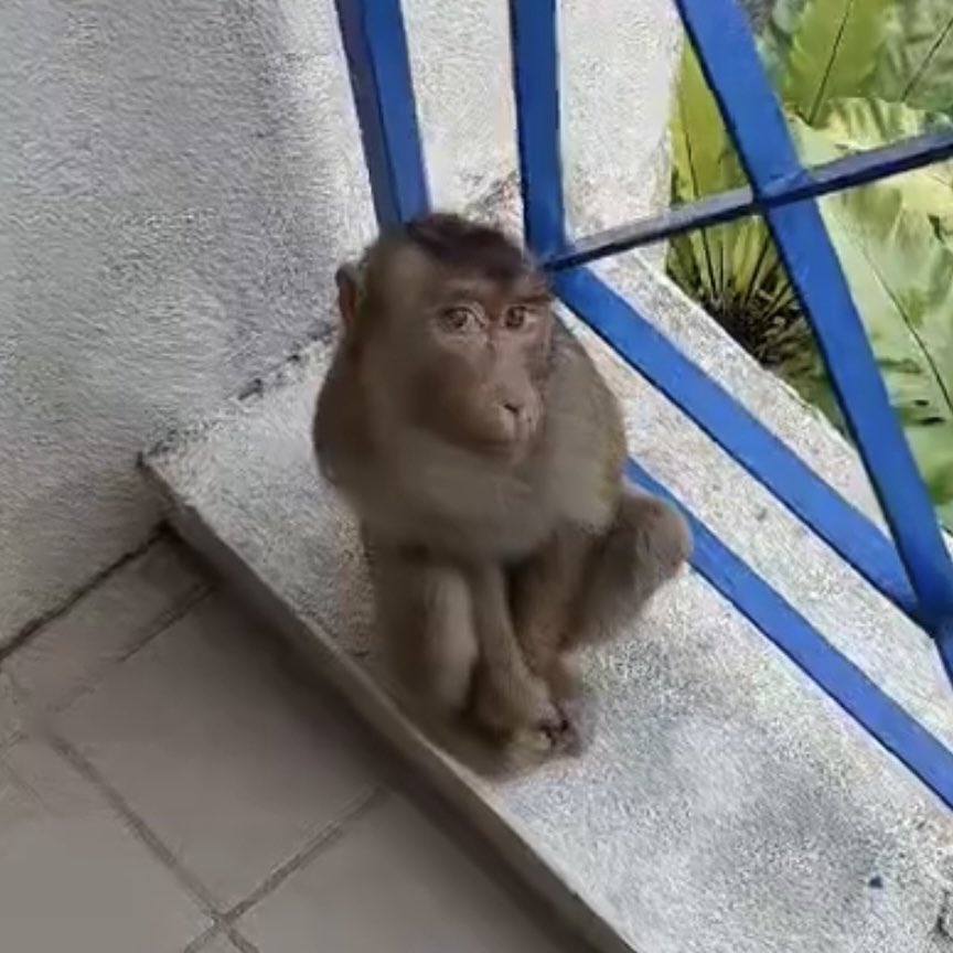 mulher... o pai de santo que bateu no erê da linha de omolú e foi parar no hospital com suspeita de lepra morreu...