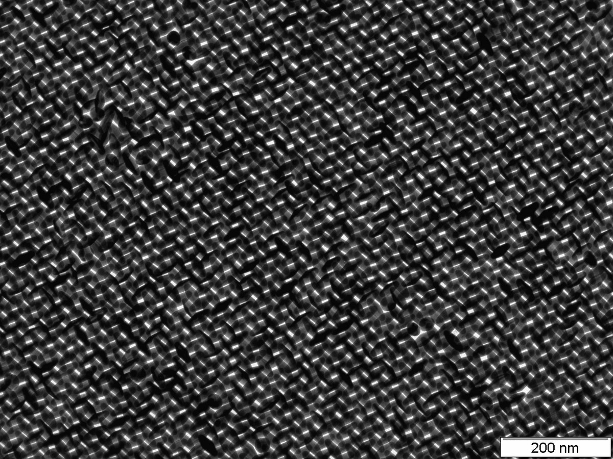 Florian Schulz tweet media