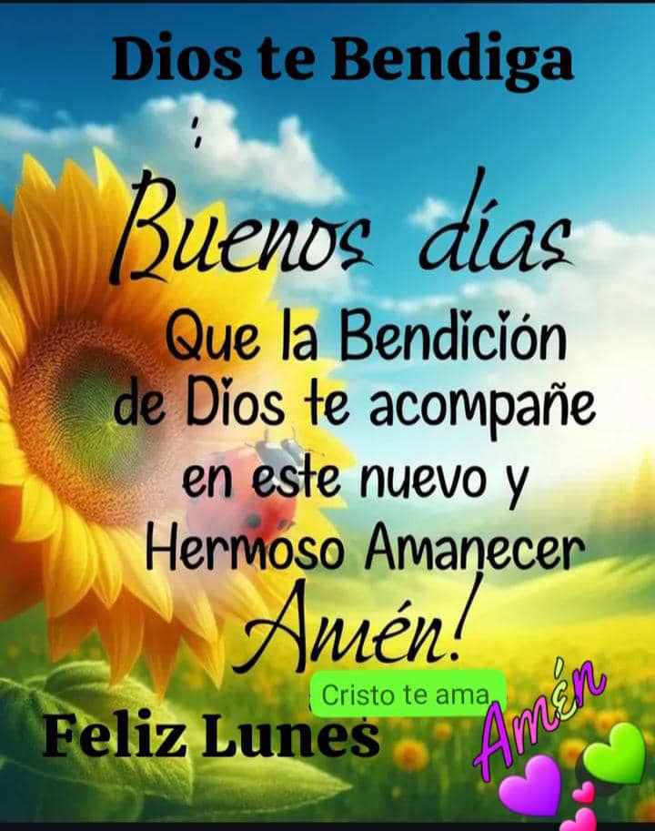 Yuya...😉🌹 tweet media