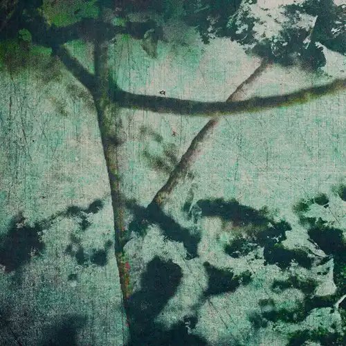 GYROFIELD / SUSPENSION OF BELIEF

22歳の天才が創り出した、ミュータントダンスミュージック。Objektが主宰する新レーベル〈Kapsela〉第3弾!