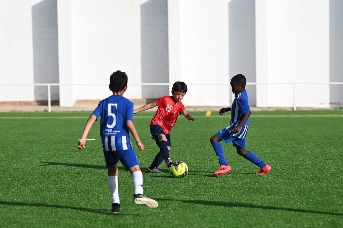 CDOropesa's tweet photo. ⚽ Este fin de semana hemos celebrado la primera parte del I Torneo de Fútbol de Oropesa (categorías Benjamines y Alevines), y no podemos estar más orgullosos del resultado. Pero nada de esto habría sido posible sin la ayuda de quienes han estado ahí desde el primer minuto.
🧵 https://t.co/G8eGHMyRmi