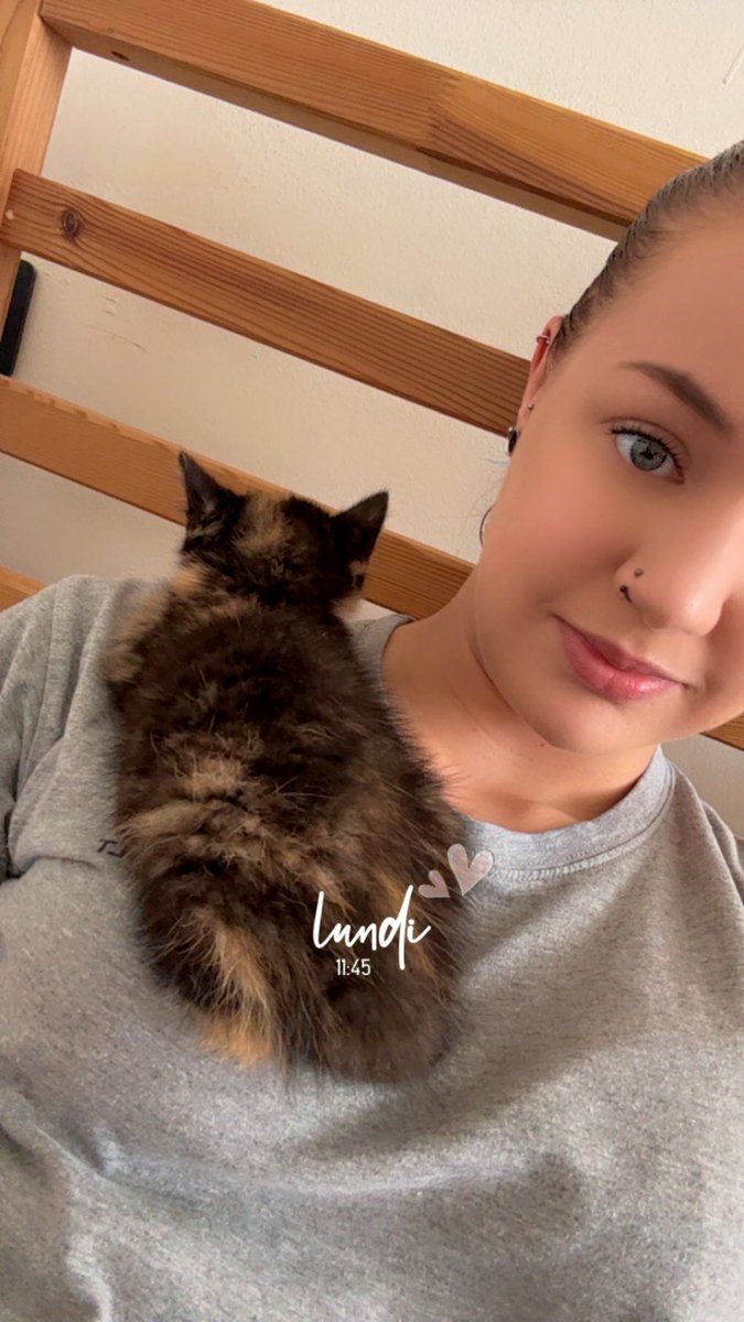 YTenshy's tweet photo. Je vous présente une nouvelle boule d’amour ❤️ Ma petite Amande ☺️ https://t.co/ObHoUPMedB