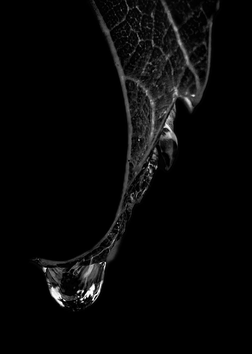 📸VineyardWarrior📸 tweet media