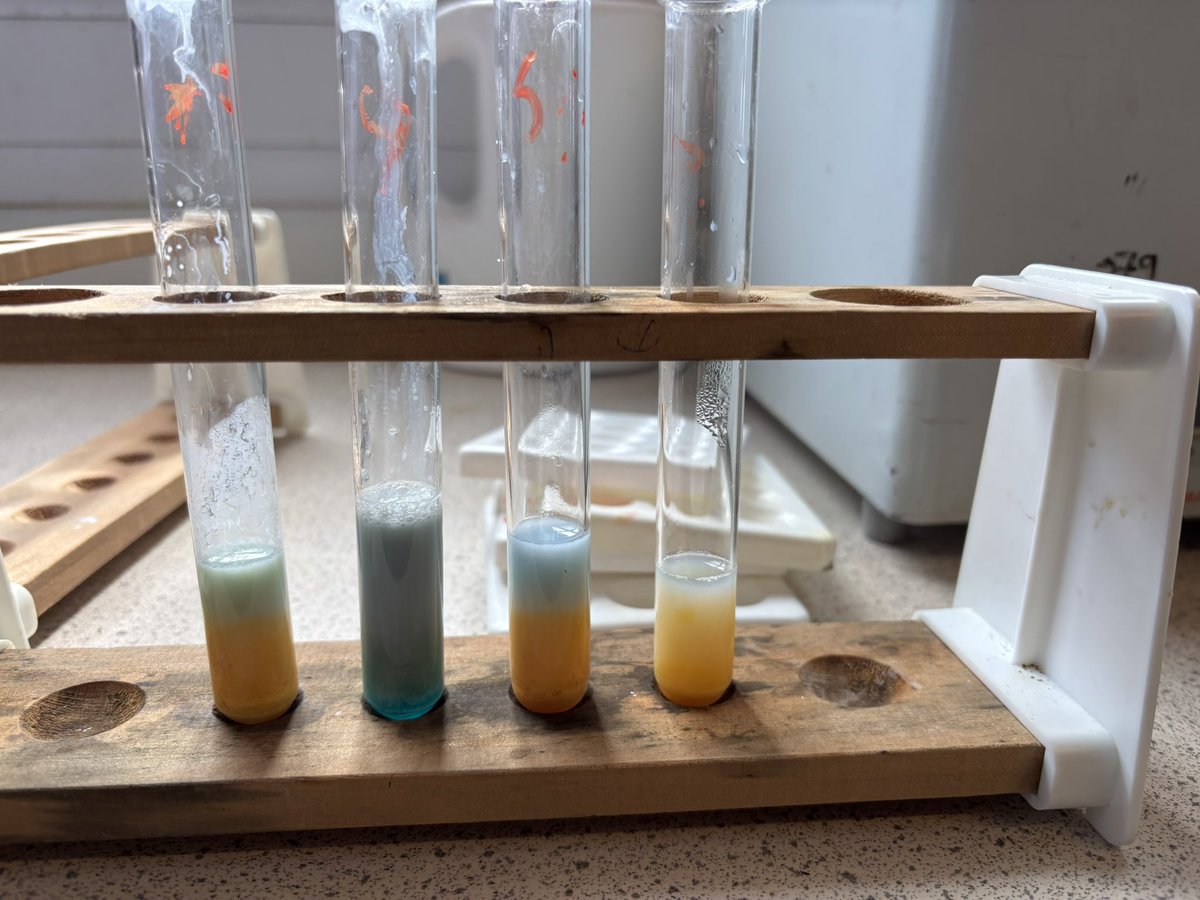 ArdAcad Science tweet media