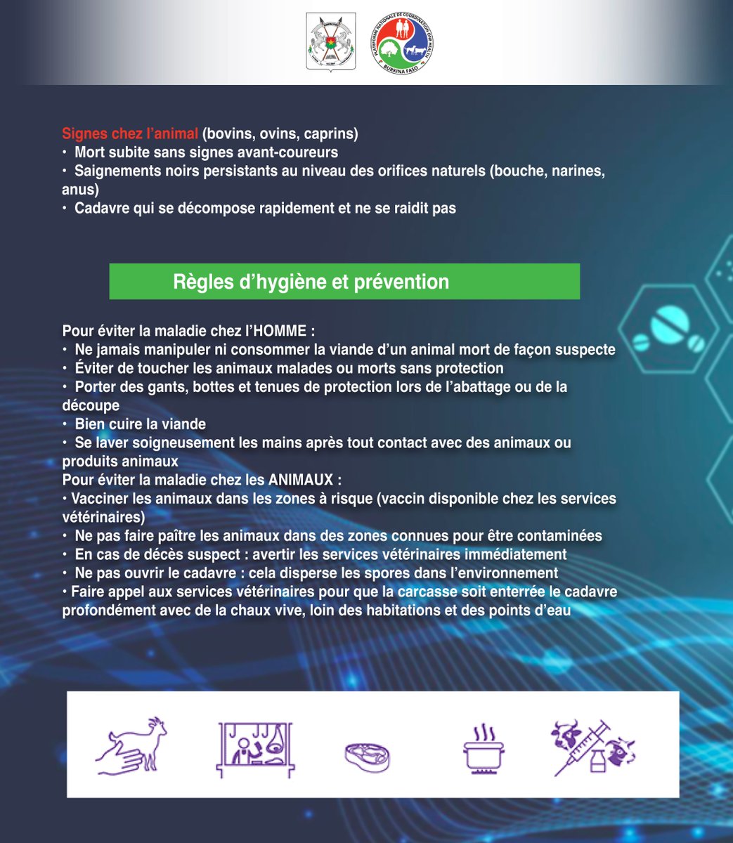 Onehealthbf's tweet photo. https://t.co/ekYrZmq1jV