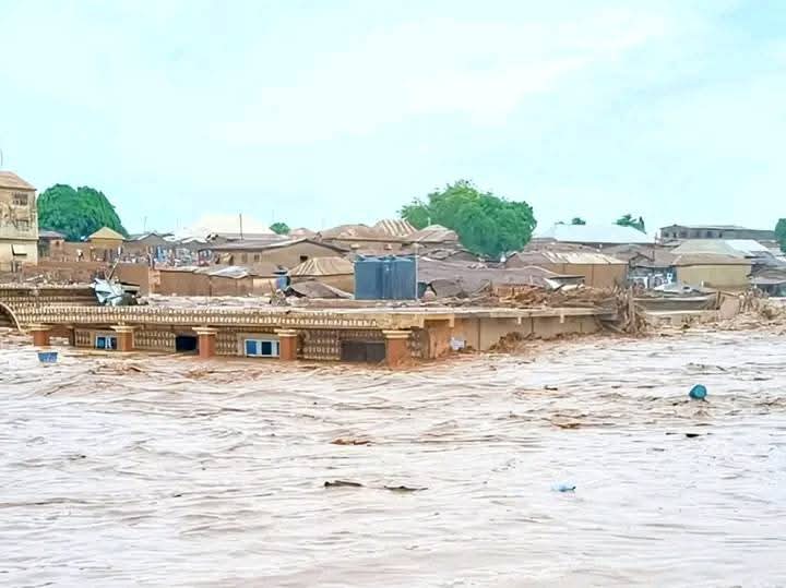 GoroMohammad's tweet photo. #MokwaFlood 
Even When they felt they've gotten safety on their rooftops and in the Mosque they weren't spared by the Flood. Help Mokwa to get back on its industrious spirit. Day 5 yet death toll is climbing! https://t.co/L7sAJZokly
