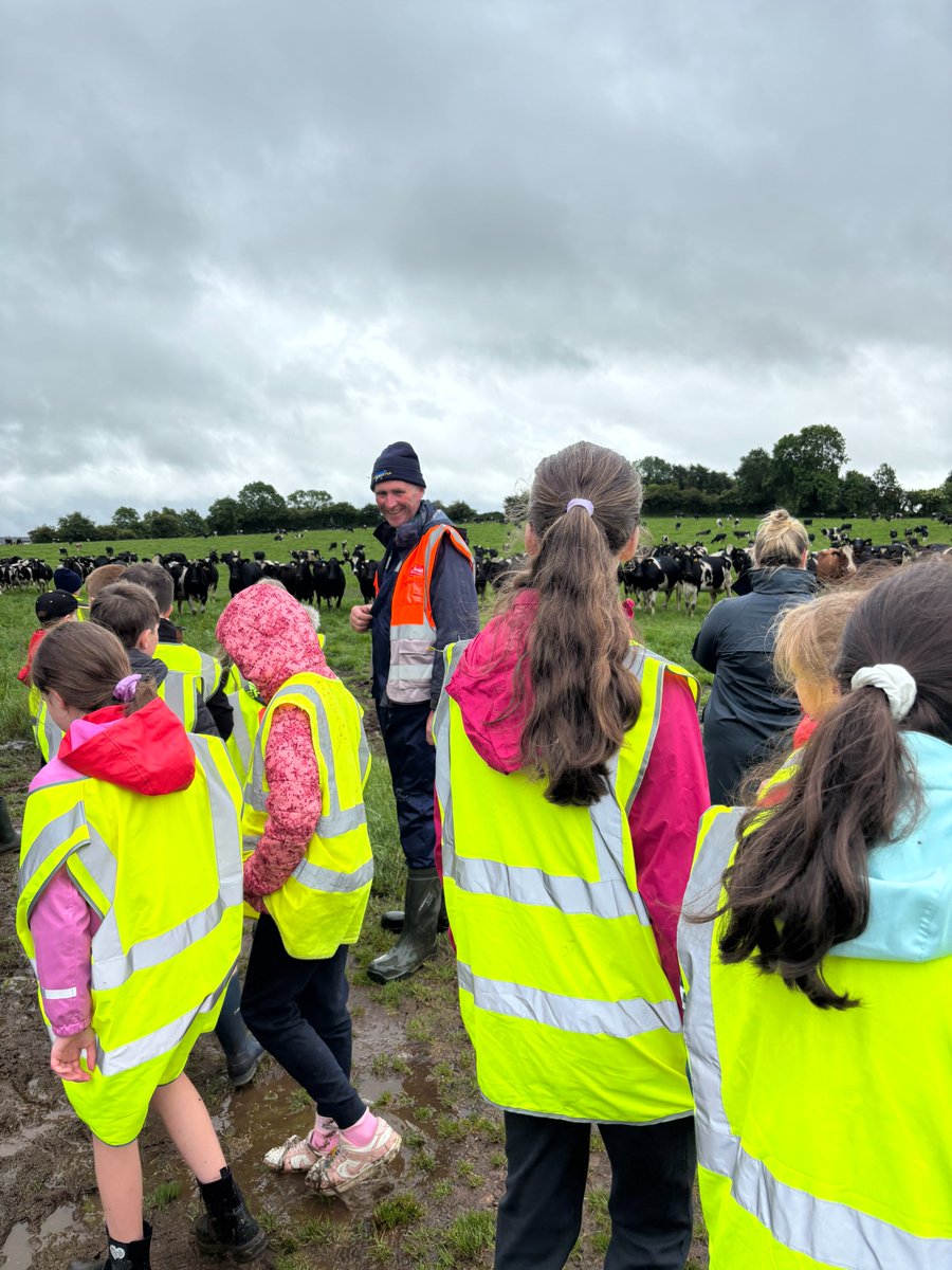 Dairygold Co-Op (@dairygoldco_op) on Twitter photo 50 children from Banteer NS visited <a href="/DairygoldCo_Op/">Dairygold Co-Op</a> Vice Chairperson Donal Shinnick's farm, as part of the <a href="/AgriAware/">Agri Aware</a> School Farm Initiative. The initiative is a venture encourages primary school children to visit farms to educate them on Irish dairy production.
#WeCare 50 children from Banteer NS visited <a href="/DairygoldCo_Op/">Dairygold Co-Op</a> Vice Chairperson Donal Shinnick's farm, as part of the <a href="/AgriAware/">Agri Aware</a> School Farm Initiative. The initiative is a venture encourages primary school children to visit farms to educate them on Irish dairy production.
#WeCare
