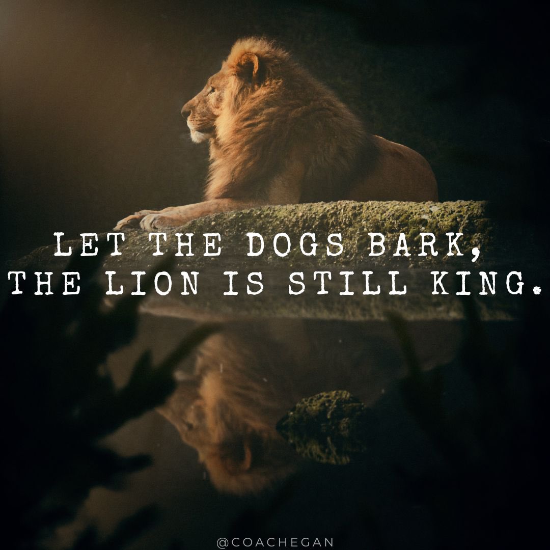 🦁🦁🦁🦁🦁🦁🦁🦁🦁🦁🦁