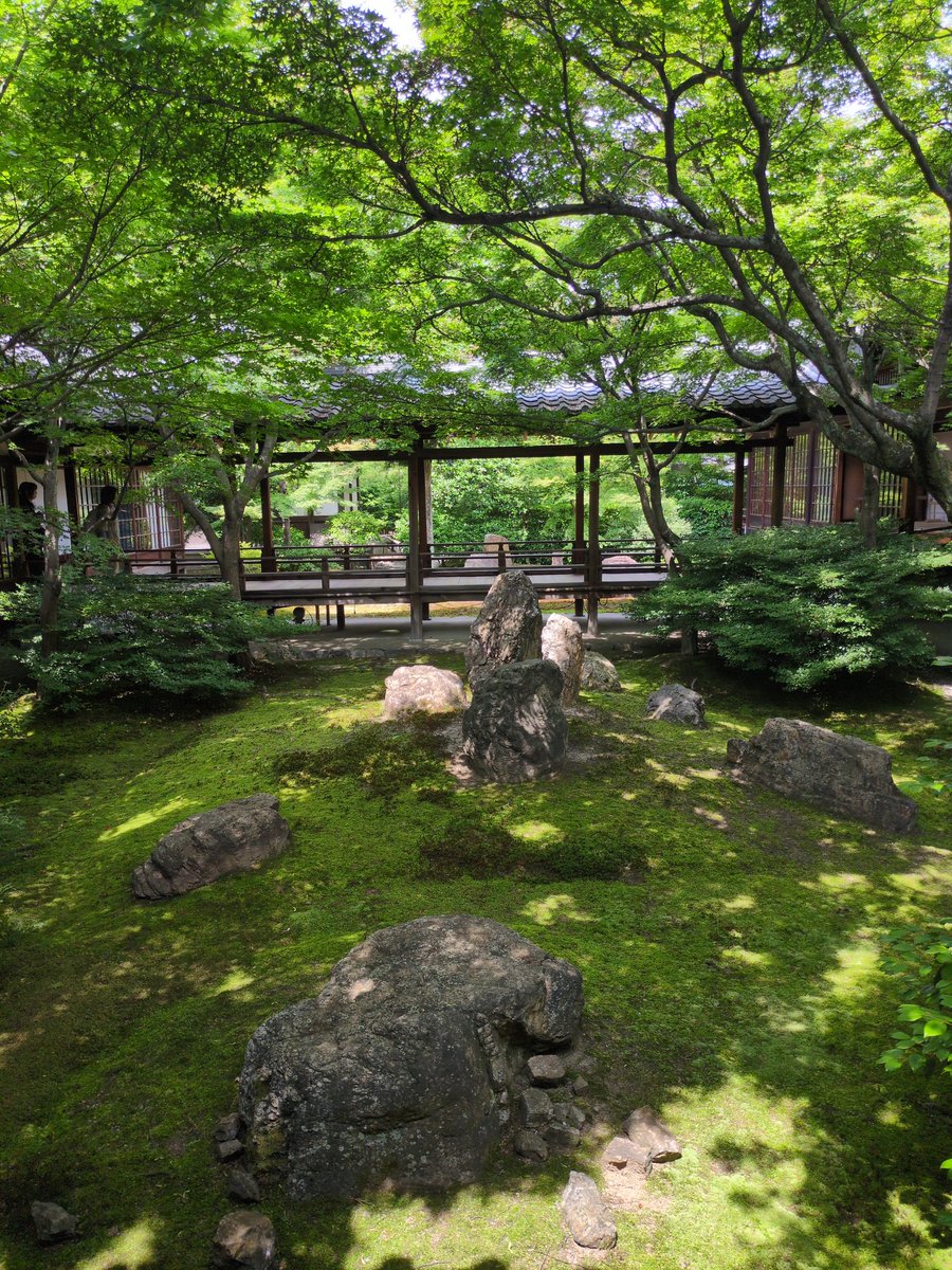 緑の庭園
#キリトリノセカイ