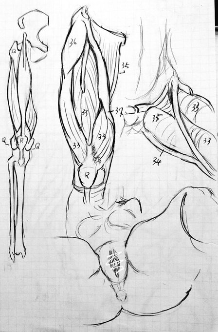 昨日の練習と今日の練習と
お茶中の落書き(

メタボルって名前、まんまメタボやね? 