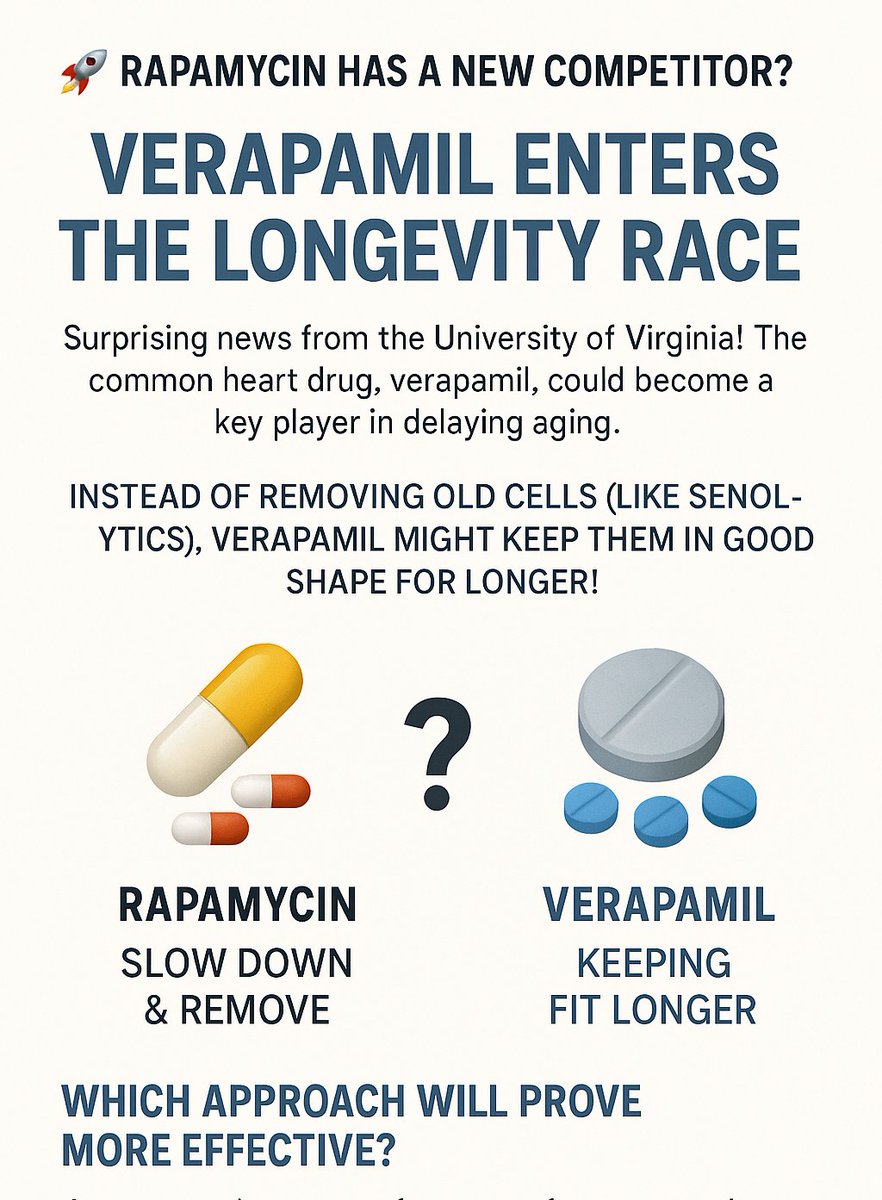 Kill or preserve aging cells — which side are you on?