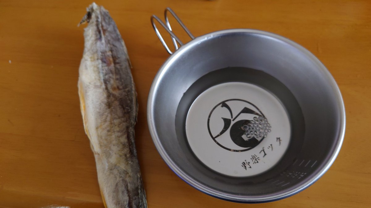 久しぶりの日本酒は雁木の夏辛口😊
雁木さんのスパークリング、受賞おめでとうございます🙇
この夏酒をGottaでいただいたシュラカップに注ぎ、氷下魚のくん製食べる土曜日夕方、最高😁（なので18時から爆睡しラストTKO食べれず、スペースも聞けず😅）