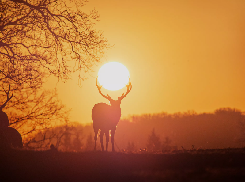 ARU Sustainability Team tweet media