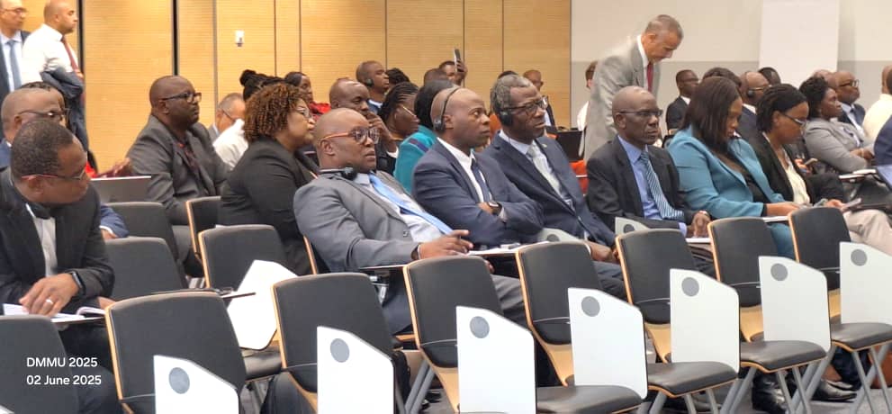 AFRICAN UNION MEMBER STATES AND REGIONAL ECONOMIC COMMUNITIES VALIDATE COMMON POSITION FOR GLOBAL DISASTER RISK REDUCTION PLATFORM