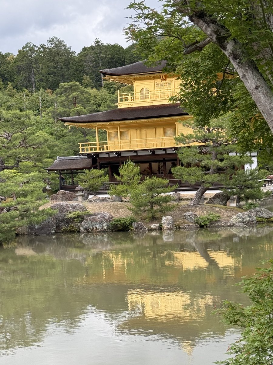 CHardeman01's tweet photo. #kyoto we love you https://t.co/S58spGYXEP