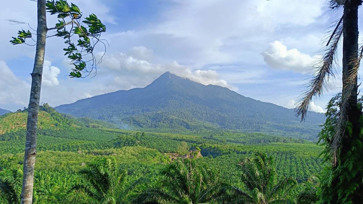 17.00 น.กระบี่ น่าจะขาดฝนอีกหลายวัน ไร้เมฆปกคลุม ยอดเขาพนม ชัดเจน 🏞️ <a href="/MrVop/">ѴѺҎ</a>