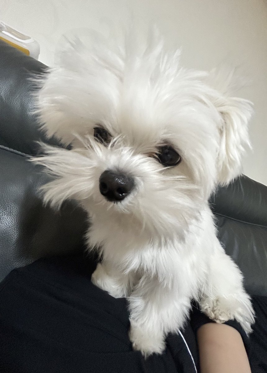 가나디님 정신이 쫌 드시나요
가나디님께서는 9시간동안 쿨쿨슨 하셧습니다만