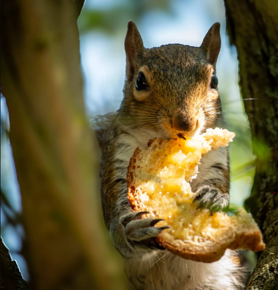 ARU Sustainability Team tweet media