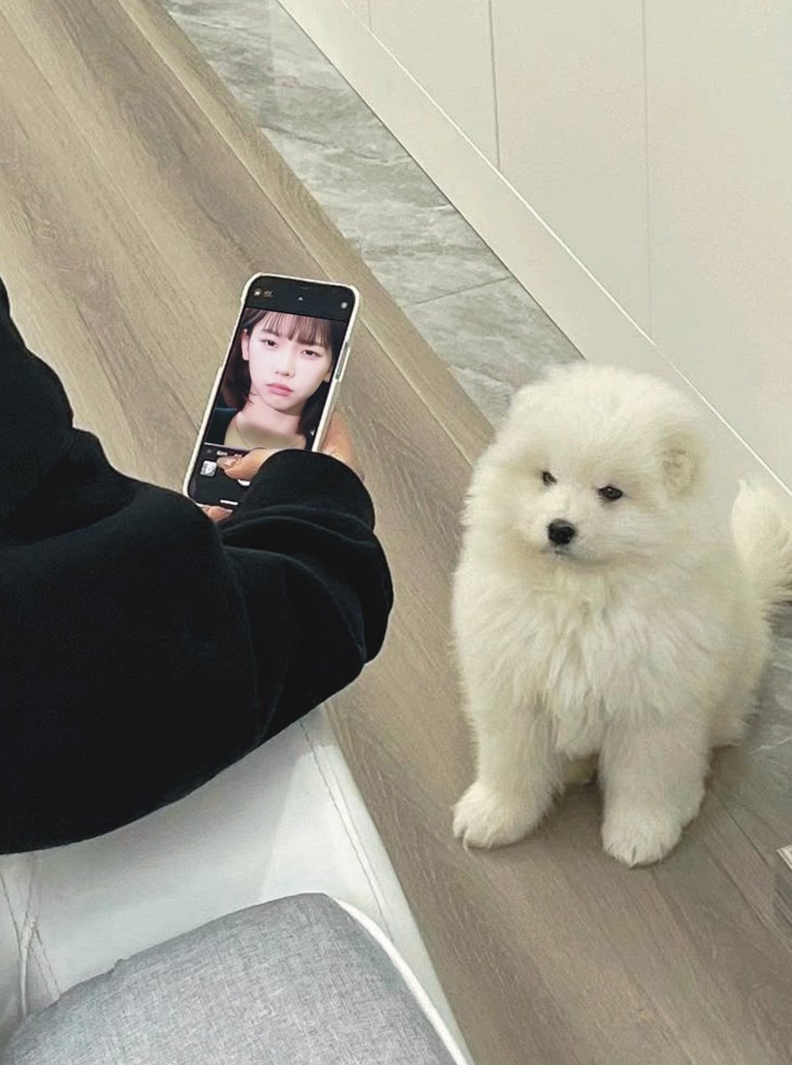 가나디야 다랑해 ᐡ o̴̶̷̤ ﻌ o̴̶̷̤ ᐡ