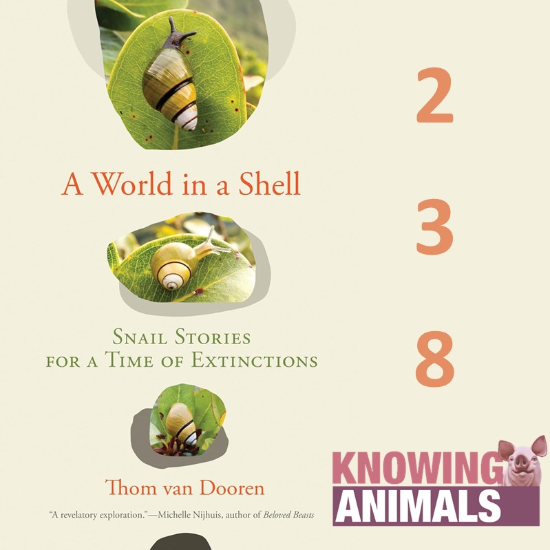 Knowing Animals (@knowing_animals) on Twitter photo New episode! <a href="/JoshLMilburn/">Josh Milburn</a> interviews Thom Van Dooren about his 2023 <a href="/mitpress/">The MIT Press @mitpress.bsky.social</a> book A World in a Shell: Snail Stories for a Time of Extinctions. The episode is available free below, or in all the usual podcast places.
knowinganimals.libsyn.com/episode-238-sn⦠New episode! <a href="/JoshLMilburn/">Josh Milburn</a> interviews Thom Van Dooren about his 2023 <a href="/mitpress/">The MIT Press @mitpress.bsky.social</a> book A World in a Shell: Snail Stories for a Time of Extinctions. The episode is available free below, or in all the usual podcast places.
knowinganimals.libsyn.com/episode-238-snā¦